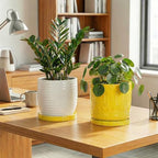 Eightpot Plant Water Catcher Tray 7.5 Inch, 2 Pack Ceramic Plant Saucers for Indoors Outdoors, Round Plants Plates to Catch Water, Modern Decorative Plants Dishes to Catch Water, Yellow - Image 3