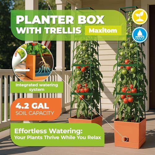 BioGreen 2 Pack Garden Tomato Planter MAXITOM, with Plant Support Trellis 59 inch and Self Watering, 4,2 Gal Planter Box for Climbing Vegetables Plants, Terracotta - Image 2