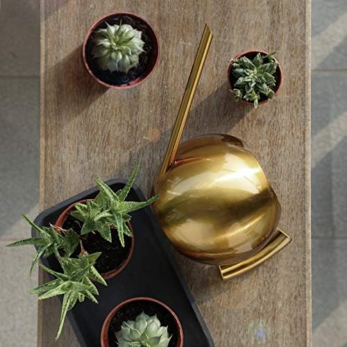 FLEXMAN 1000ml Stainless Steel Watering Can with Long Spout, Long Spout Modern Style Watering Pot, Small Watering Can for Outdoor Indoor Plants (Gold) - Image 6