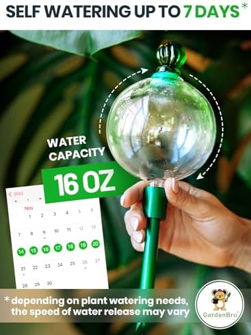 16 Oz 2 pcs Plant Watering Globes for Indoor Plants with Metal Self Watering Planter Insert - Premium XL Glass Hand-Blown Globes - Automatic Plant Waterer Indoor, Gift for Gardeners [Green & Clear] - Image 4