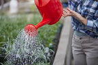 Consolidated Plastics Durable Swiss Watering Can with UV Protection, Ergonomic Handle for Indoor/Outdoor Gardening, Made in Switzerland (7 Liter, Red) - Image 6