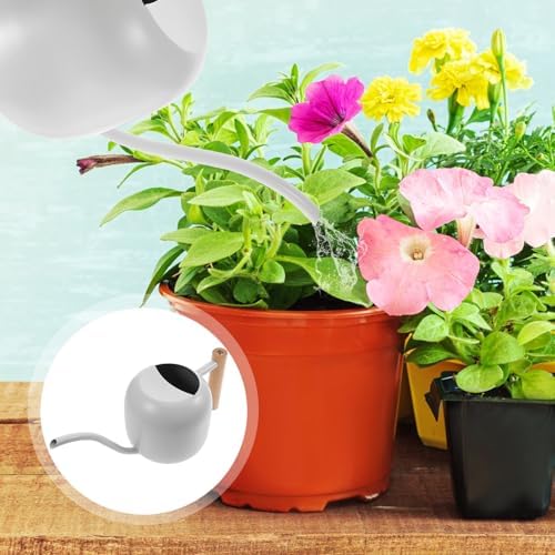 Stainless Steel Watering Can 1200ml with Wood Handle Vintage - Image 7