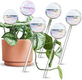 [6 PCS] Light Iridescent Rainbow Gradient Color Clear Glass Self-Watering System Spikes, Automatic Plant Waterer Bulbs by Tomorotec