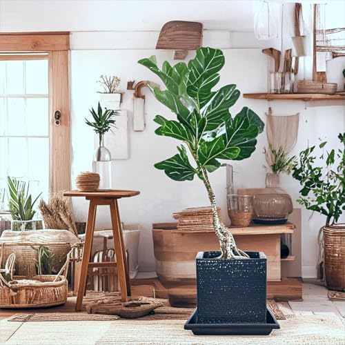 Square Plant Saucer 18 Inch 5 Pack, Planter Trays for Flower Pots, Plant Water Catcher Drip Dishes, Plastic Bottom Watering Plates Indoors and Outdoors - Black - Image 4