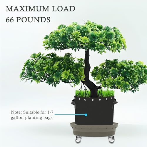 5-Pack Self-Watering Base with Visible Water Level - Image 5
