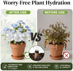 Self Watering Plant Globes, Water Bulbs for Indoor Outdoor Plants，3-750ml - Image 3