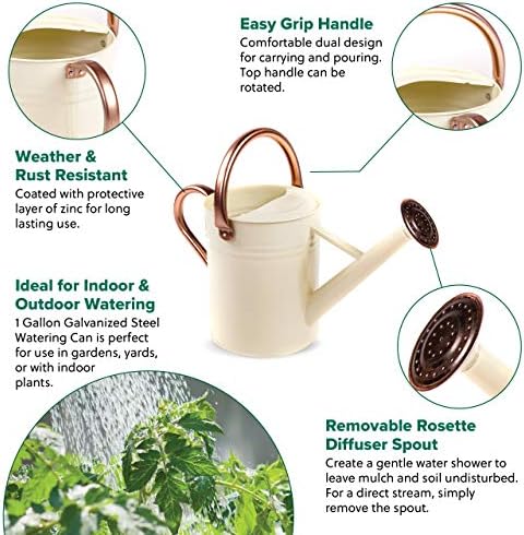 Gardman R34898 1 Gallon Watering Can, Vintage Cream - Image 4