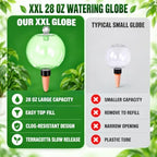 2 Pack 28 oz XXL Extra Large Self Watering Globes to 3+ Weeks Watering - Image 4