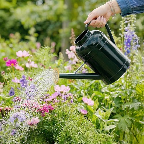 ‌2.3-Gallon Metal Watering Can,8.7L Galvanized Watering Can for Outdoor Plants with Removable Long Golden Spout - Image 6