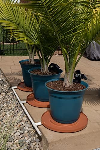 Drain Away Grey 22 inch Plant Saucer Heavy Duty Drain Tray for Large Pots Indoor Outdoor Waterproof UV Resistant | Protect Floors Decks | 12in 15in 22in | White Gray Terra Cotta Black - Image 6
