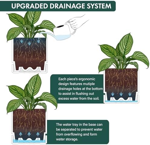 Phoenix Vine 8 Inch Planter Pot with Drainage Hole & Saucer, Deep Water Catch Tray, Straight Cylindrical Round Pot for Plants, Matte White, Pack of 1, 23-B-T-1 - Image 5
