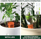 Soilagua Large Terracotta Watering Spikes with Lids, 8-Pack - Image 4