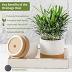 HASENSE Small Plant Pots, 4.6 Inch Ceramic Flower Pots with Two-Tone Glaze Design, Indoor Outdoor Planter with Drainage Hole and Saucer, Cute Tabletop Decor, 4 Pack, White-Brown - Image 5