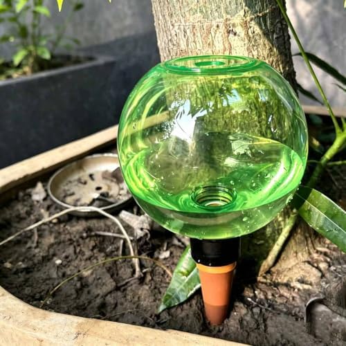 Automatic Plant Watering Globes 500ML Top Fill Drip Irrigation for Indoor - Image 5