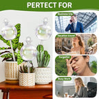17 oz Extra Large Plant Self Watering Globes, 4 Pack Watering Bulbs - Image 6