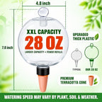 2 Pack 28 oz XXL Extra Large Self Watering Globes to 3+ Weeks Watering - Image 2