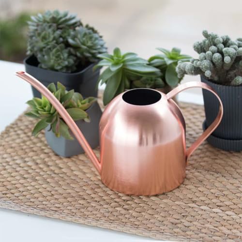 Watering Can Stainless Steel with Ergonomic Handle Ml - Image 5