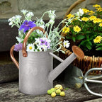 Metal Watering Can with Removable Spout, Galvanized Watering Can, Perfect for Indoor Use and for Outdoor Use (1 Gallaon, Metal) - Image 5