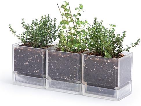 D'vine Dev 3-Pack Acrylic Herb Planter Pots, 4 in, Clear, 76-Y-D-1 by DvineDevPlanterPotsandStand