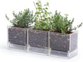 D'vine Dev 3-Pack Acrylic Herb Planter Pots, 4 in, Clear, 76-Y-D-1 by DvineDevPlanterPotsandStand