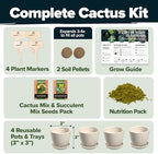 HOME GROWN Succulent & Cactus Seed Starter Kit, DIY Gardening Gift - Image 2