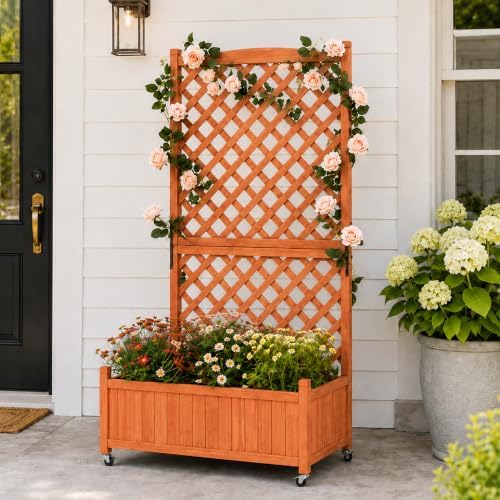 Trellis Raised Garden Bed with Wheels Trellis for Climbing Plants Outdoor by ScienGardenJoysofgardening