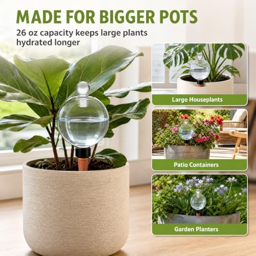 26 oz Extra Large Plant Self Watering Globes XXL for Outdoor Indoor (6Pack) - Image 5