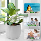 Plant Watering Globes, 26oz Extra Large Top Fill Self Watering Globes, Water Globes, Plant Water Bulbs, Watering Bulbs for Indoor Outdoor Planters, Water Plants While Away 3-Pack - Image 6