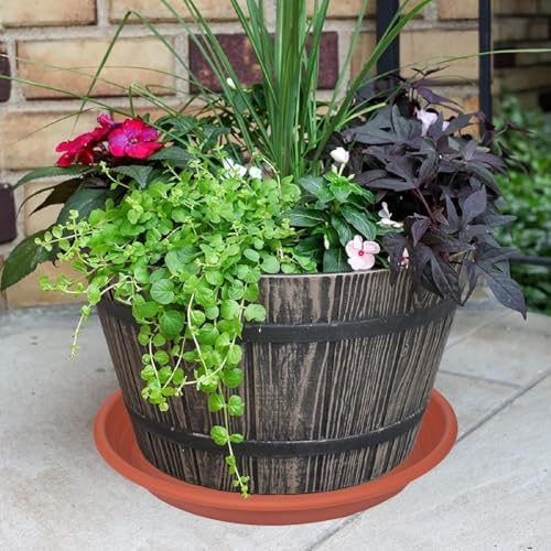 2 Pack of 16 inch Plant Saucer, Large Plant Tray, Heavy Sturdy Plant Drainage Tray for Indoors, Bird Bath Bowls, Sturdy Plastic Pot Tray for Planter 14 15 16" (Terracotta) - Image 3