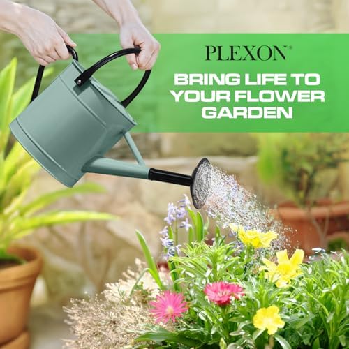 Plexon Metal Watering Can Outdoor 1 Gallon, Flower Plant Gardening Garden Large Watering Can Pot, Black Galvanized Steel Handles and Removable Spray Spout, Aqua Mist Blue - Image 3