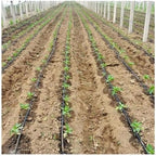 1pcs 16mm 1-Hole Drip Irrigation Hose Space 300mm, For Fruit Tee Greenhouse Irrigation Drip Hose Tape Micro Irrigation System Seepage Pipe 100m~5m ( Color : Space 300mm , Size : 100m(2RollsX50m) ) by Unknown
