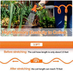 SPECILITE 3/8" Lightweight Coil Garden Hose 75 FT, EVA Flexible Water Hose - Image 2