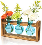 XXXFLOWER Glass Plant Mister Spray Bottle+3 Blue Bulb Glass Propagation Station - Image 6