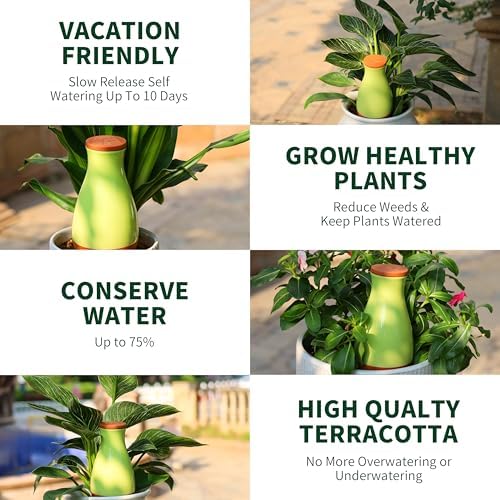 Soilagua 16 oz Drip Irrigation Stakes, Large Plant Watering Globes, Olla Pots Plant Watering Devices, Self Watering Planter Insert, Watering Spikes for Outdoor Indoor Everyday Vacation Use, 4-Pack - Image 6
