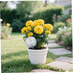 Plant Watering Globes 9Pcs Self Watering Globes, 17.5oz Plastic Automatic Plant Waterer Insert Top Fill with Slow Release Control Plants Devices System - Image 2