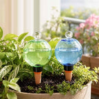 Automatic Plant Watering Globes Top Fill Automatic Houseplant Drip - Image 5