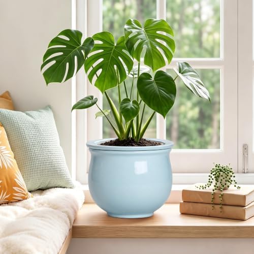8 Inch African Violet Pots, Ceramic Self Watering Pots, Light Blue - Image 4