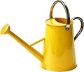 1.5 Gallon Metal Watering Can for Outdoor Plants, Watering Can, Yellow by SunnyTong