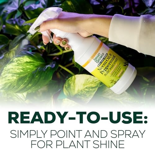Neem Oil Spray for Plants with Peppermint Oil. Indoor & Outdoor Plant Use - Image 3