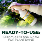 Neem Oil Spray for Plants with Peppermint Oil. Indoor & Outdoor Plant Use - Image 3