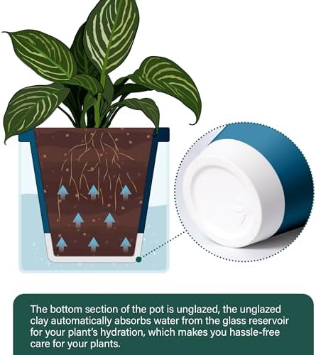 D'vine Dev Self-Watering Blue Terracotta Planter Pot, 10 in, 37-X-D-4 - Image 5