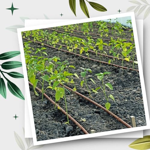 Nuanchu 492 ft 1/4" Drip Irrigation Tubing Irrigation Hose Garden Watering Tube Line with 12 Inch Emitter Spacing Blank Distribution Tubing Drip Line Watering for Garden Irrigations System, Brown - Image 6