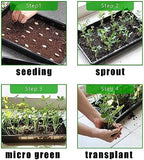 RooTrimmer 10 Pack 1020 Trays, Extra Thick Heavy Duty Seed Starting Trays - No Holes, No Leak, Reusable Propagation Flats for Microgreens, Seedlings, Plant Germination, Fodder and Transplant - Image 6