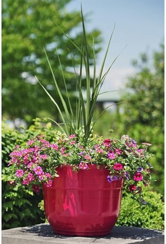 Garden Elements Indoor/Outdoor Glazed Brushed Happy Plastic Planter, Large, Bright Pink, 15" - Image 5