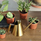 Stainless Steel Watering Can | Long Spout Design for Potted Plants/Indoor Gardens | 400ml 900ml 1500ml Options | Rustproof & Ergonomic Handle (1500ml) - Image 6