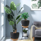 UOUZ 12inch 2Pack Large Self Watering Planters, Plastic Plant Pots with 60oZ Removable Deep Reservoir and Multi Mesh Drainage Holes for Indoor Outdoor Garden Plants and Flowers, Black with Brown - Image 7