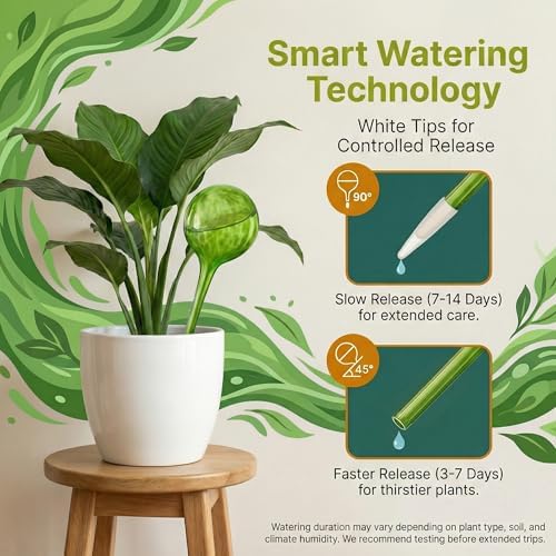Large Plant Watering Globes 6 Pack – Jumbo Self Watering Bulbs, 350ml Set - Image 4