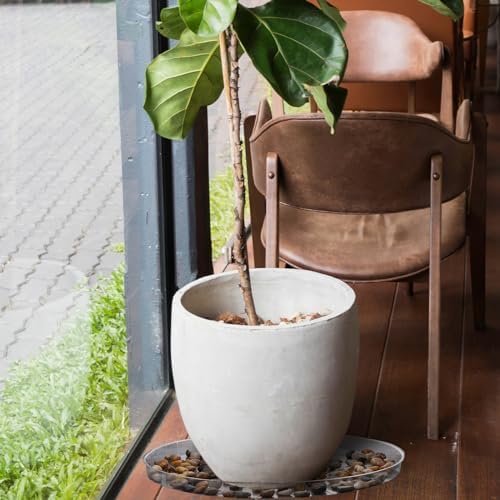 DoubleFill 6 Pcs 25 Inch Plant Saucer Clear Plastic Round Large Trays - Image 6