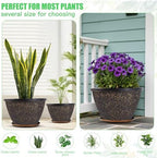Nooulap 4 Pack 12 Inch Plant Pots with Drainage Holes and Saucers - Image 5