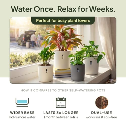 Self Watering Planters, 4 Inch Pot with Water Reservoir, Nylon Wick & Clear Inner Pot, Bottom Water System | Self Watering Pots for Indoor & Covered Outdoor Plants | White | Pack of 4 - Image 2